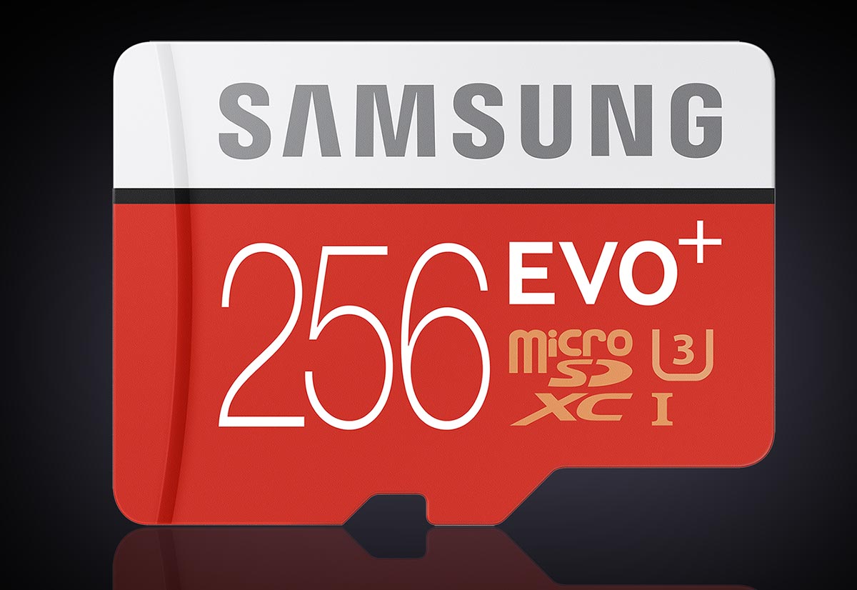 Micro SD Samsung 256 EVO+ 2